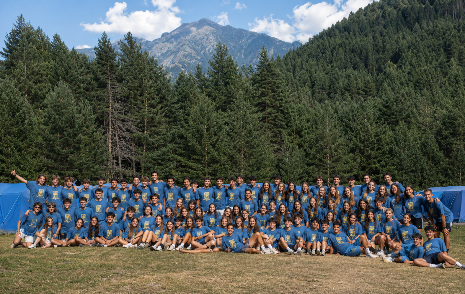Pirineo Chamis en uso